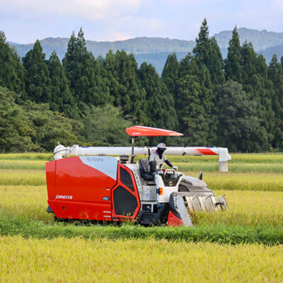 豊かな水と寒暖差が育む、妙高市の恵み
