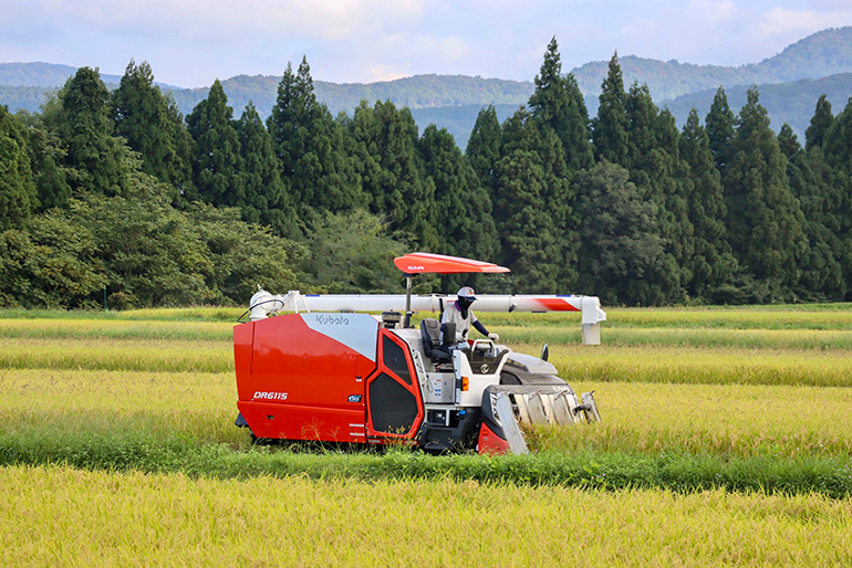 豊かな水と寒暖差が育む、妙高市の恵み