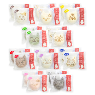 沼ネコ焼 10種 計20個