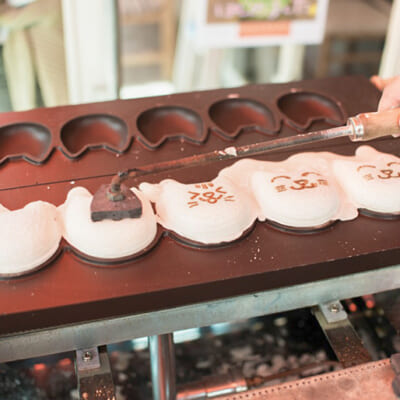 地域の人たちから親しまれてきた「沼ネコ」