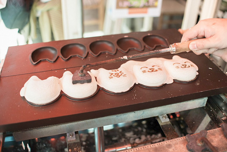 地域の人たちから親しまれてきた「沼ネコ」