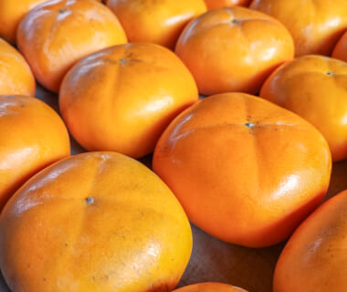 予約注文：佐渡産 種なし柿（家庭用）