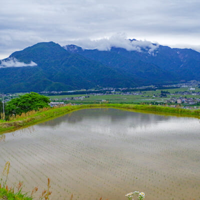 恵まれた土壌と豊かな水源