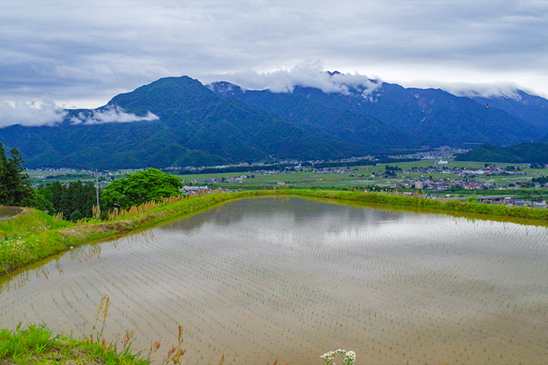 恵まれた土壌と豊かな水源