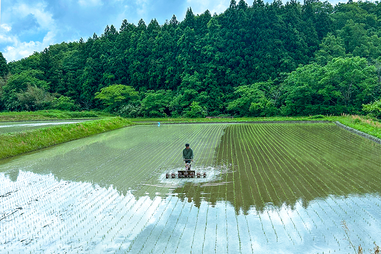 金北山の雪解け水と寒暖差が育む美味しさ