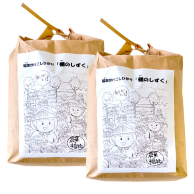 新潟県産 はざかけ米 コシヒカリ「棚のしずく」（棚田栽培）精米10kg
