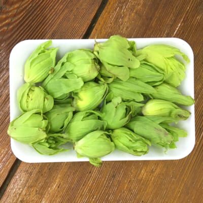 新潟県産 ふきのとう（天ぷら用）約100g