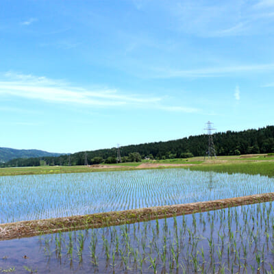 ミネラル豊富な土壌が広がる、日本有数の河岸段丘