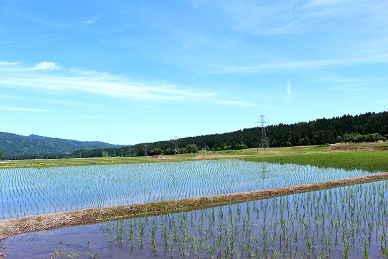 ミネラル豊富な土壌が広がる、日本有数の河岸段丘