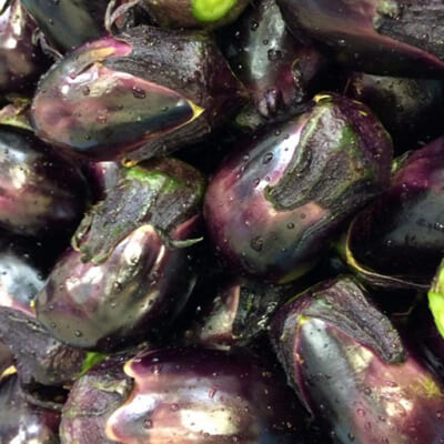 薄皮でやわらかい肉質が特徴の「黒十全茄子」