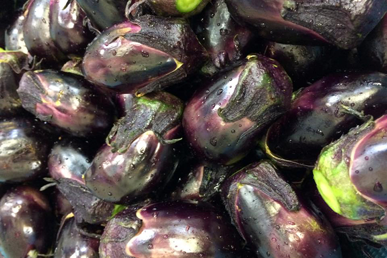 薄皮でやわらかい肉質が特徴の「黒十全茄子」