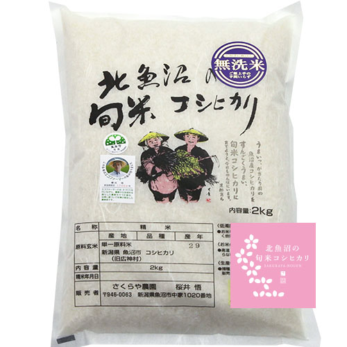 さくら様　令和４年産新潟コシヒカリ　No3 0292-001.jpg