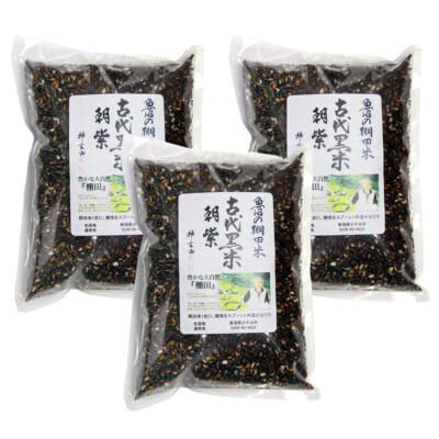 魚沼産 古代黒米「朝紫」（棚田栽培・特別栽培米）1.5kg