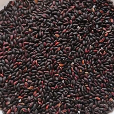 お米の甘みがギュッと凝縮されています