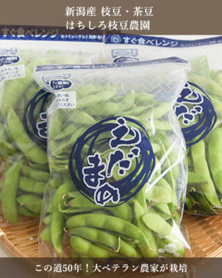 【おつな姫】新潟県 黒埼産 えだまめ 5kg  A品 おつな姫3kg新潟産枝豆 ｜ 新潟朱鷺メキ市場