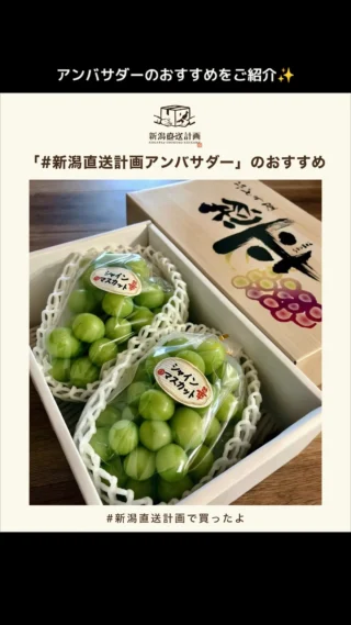 新潟直送計画】パープルスイートロードの通販 ギフト お取り寄せ