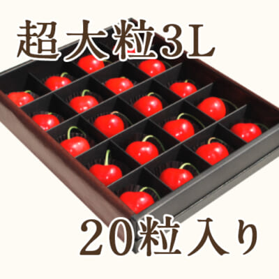【贈答用】新潟県産さくらんぼ 超大粒3Lサイズ 20粒（プレミアム）