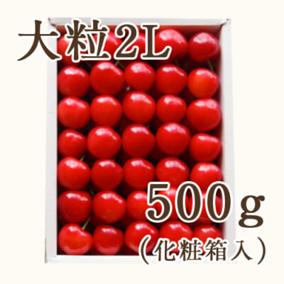 【贈答用】新潟県産さくらんぼ 大粒2Lサイズ 500g（化粧箱入）