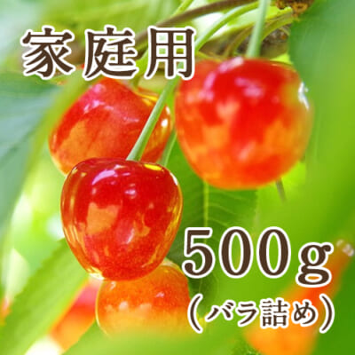 【家庭用】新潟県産さくらんぼ バラ詰め 500g