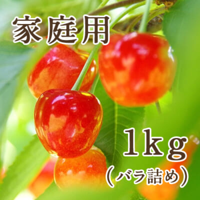 【家庭用】新潟県産さくらんぼ バラ詰め 1kg