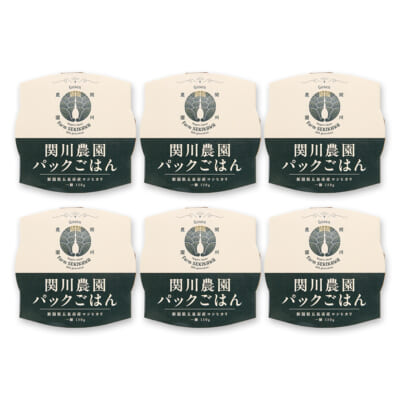 パックごはん 6パック