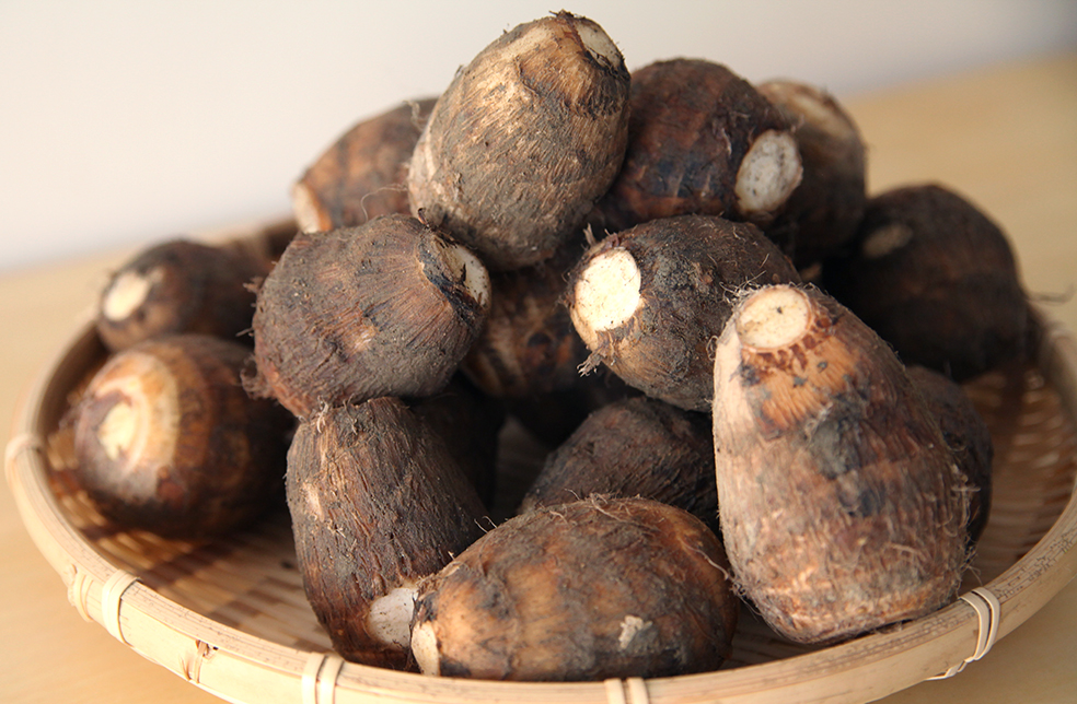 イワガワ様 その①約15kg 里芋(土垂)　栃木県産 イワガワ様 その①約15kg 里芋(土垂) 栃木県産 里芋種芋 土垂（