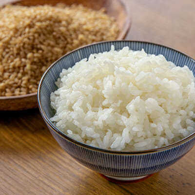 香りとつやが自慢の「従来品種コシヒカリ」