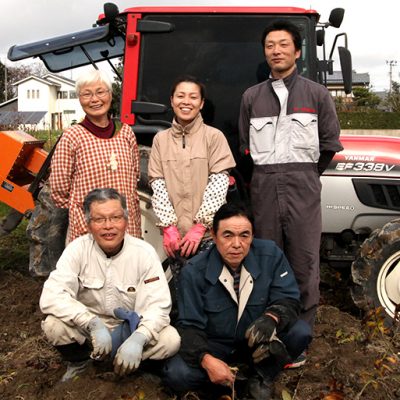 新潟直送計画 五泉産大玉さといも 特別栽培 せきかわ農園