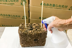 2. 霧吹き