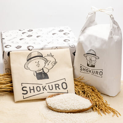 令和3年度米 新潟産 コシヒカリ「SHOKURO米」