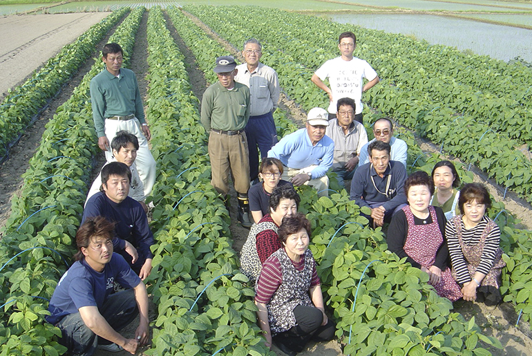 茶豆栽培のベテランが集結!しんどおり茶豆生産組合