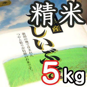 新潟県産こしいぶき 精米5kg