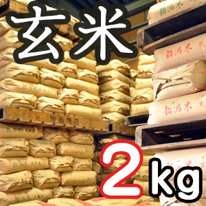 新潟県産こしいぶき 玄米2kg