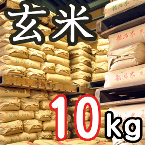 【定期購入】新潟県産こしいぶき 玄米10kg