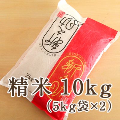 新潟県産 新之助 精米10kg（5kg袋×2）