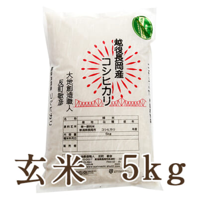 【定期購入】新潟産コシヒカリ 玄米5kg
