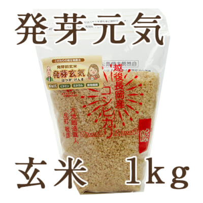 【定期購入】新潟産コシヒカリ 玄米「発芽元気」1kg