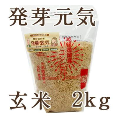 【定期購入】新潟産コシヒカリ 玄米「発芽元気」2kg