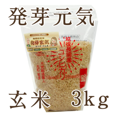 【定期購入】新潟産コシヒカリ 玄米「発芽元気」3kg