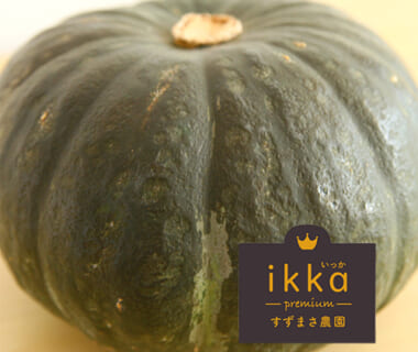 予約注文：新潟県産かぼちゃ ikkaプレミアム
