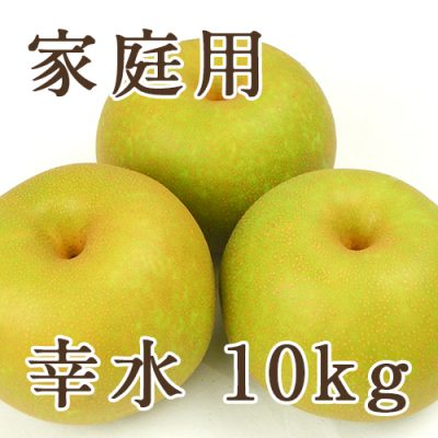 【家庭用】幸水 10kg（18～36玉）