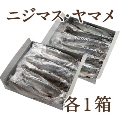 冷凍川魚 ニジマス・ヤマメ 各1箱