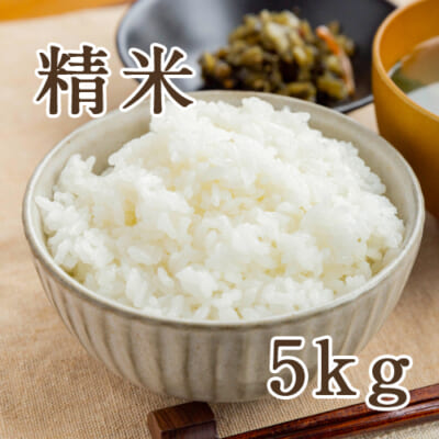 佐渡産ササニシキ 精米5kg