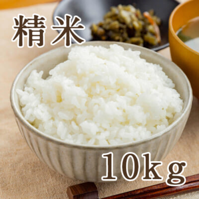 佐渡産ササニシキ 精米10kg
