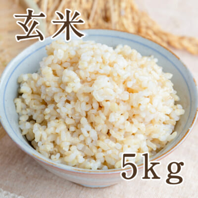 佐渡産ササニシキ　玄米5kg