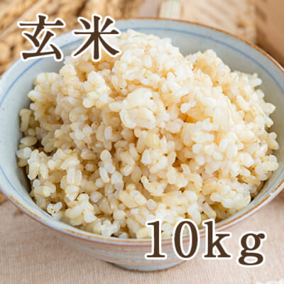 【定期購入】佐渡産ササニシキ 玄米10kg