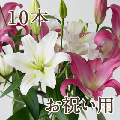 【お祝い用ラッピング】オリエンタルユリ（白・ピンク）選べる10本