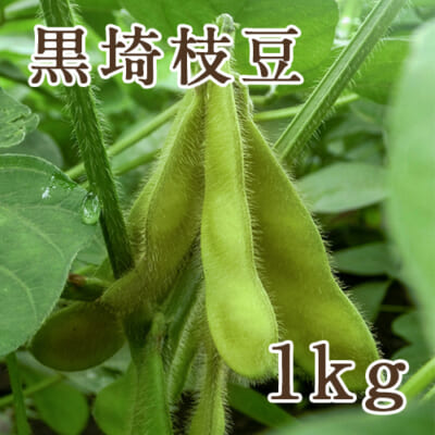 新潟産 黒埼枝豆 1kg