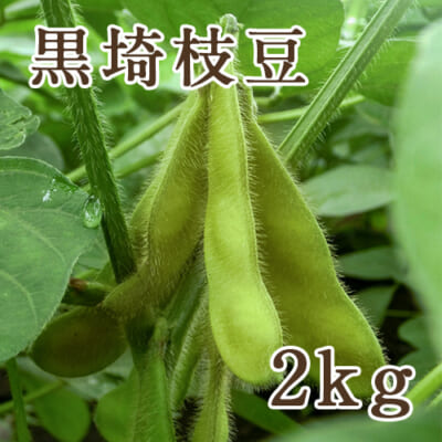 新潟産 黒埼枝豆 2kg