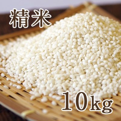新潟産こがねもち 精米10kg